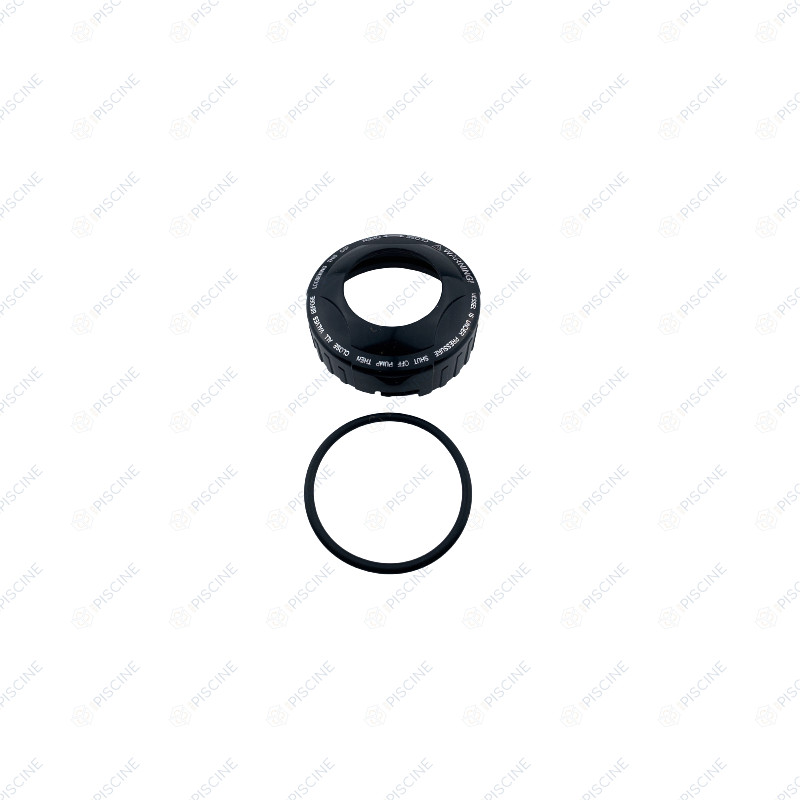 Kit collier de serrage cartouche Fusion + joint - Remplace W380064 (ZODIAC)