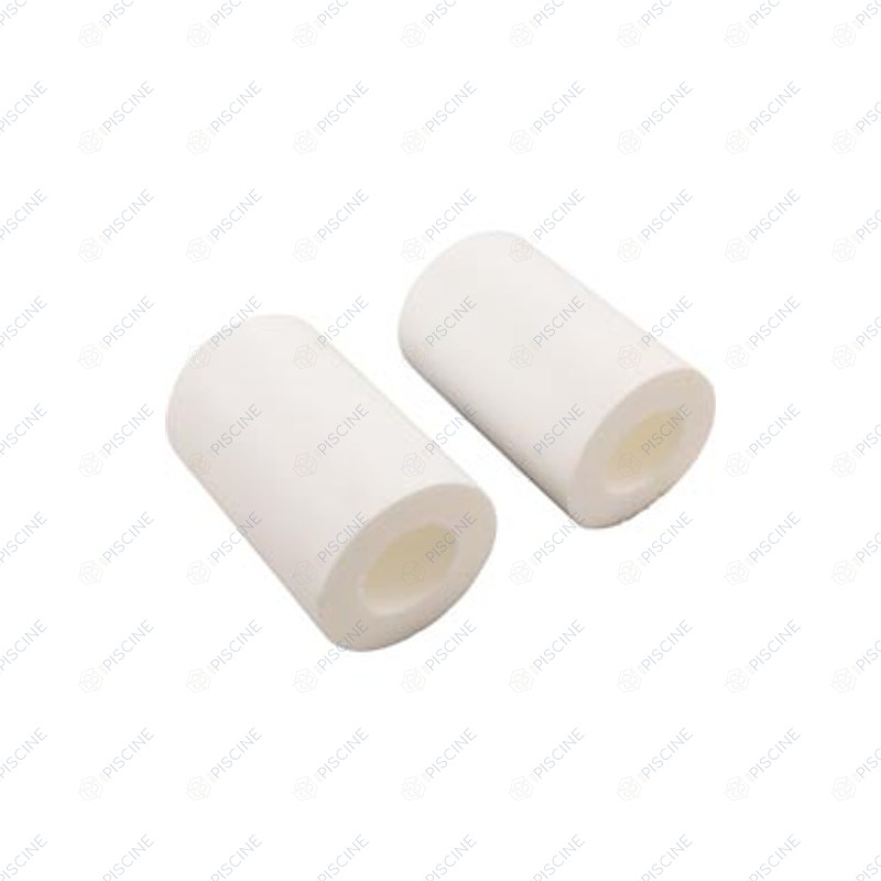 Brosse mousse (x2) pour Dolphin MAGIC, NAUTY TC, SWASH TC, ACAPOOLCO TC (Maytronics)
