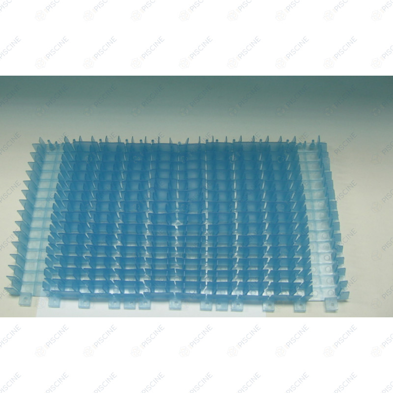 Brosse pvc pour CB bleu Dolphin