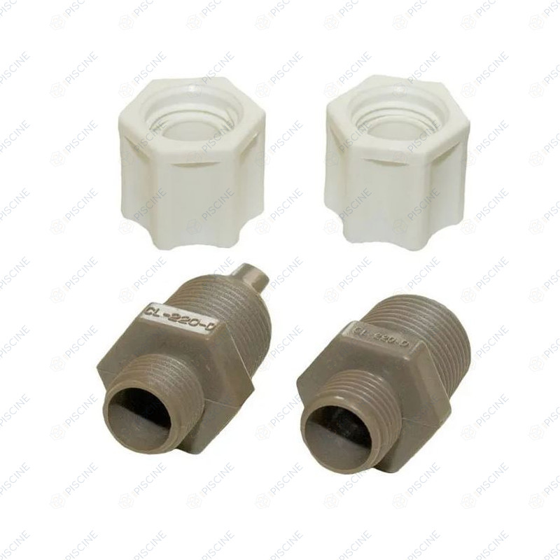 Clapet anti-retour + embout de passage (HAYWARD) Distributeur de Chlore In-Line 2,5 kg