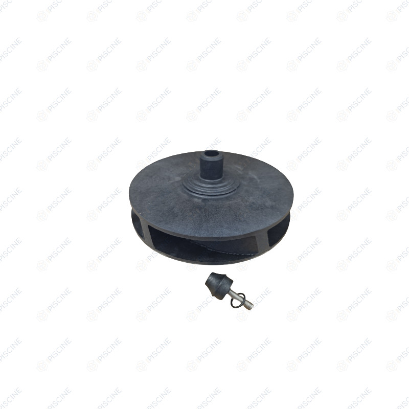 Turbine pompe KAL 7,50 CV (KRIPSOL) reference RPUM0013.33R