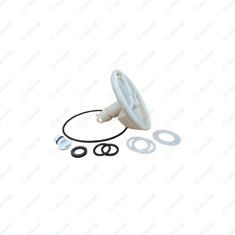 Kit boisseau de vanne 1"1/2 ( Pentair ) référence RGB10E13K