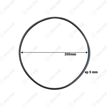 Joint torique corps de pompe SPV (Emaux ) référence 02010246