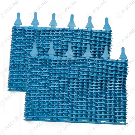 Brosses lamelles bleues (x2) W1585A