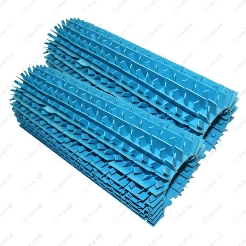 Brosses lamelles bleues (x2) W1585A