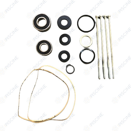Kit de paliers et joint moteur 0.37 à 0.75 kw Pentair référence RMPNT71