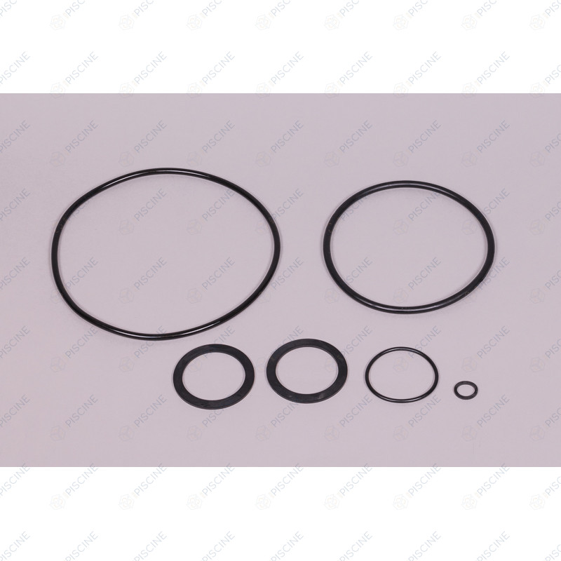 KIT DE JOINTS POUR PPE VICTORIA PLUS SILENT 4405010860