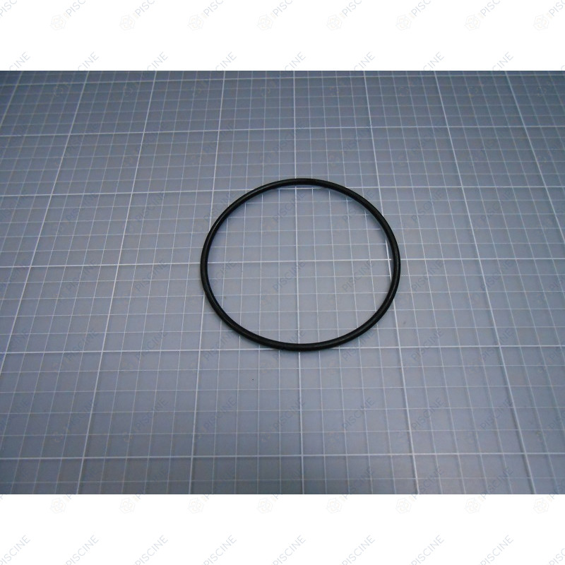 Joint torique Ø100x4mm Pompe Astral Shark 4405010376