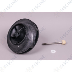 Turbine pompe Kivu 10 CV 4405010295