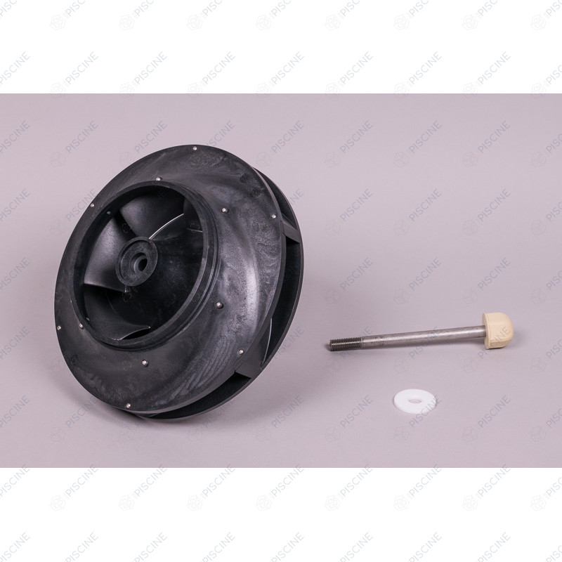 Turbine pompe Kivu 10 CV 4405010295