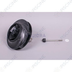 Turbine pompe Kivu 15 CV 4405010296