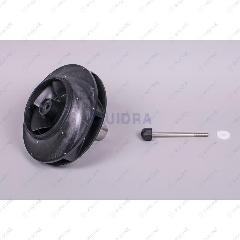 Turbine pompe Kivu 15 CV 4405010296