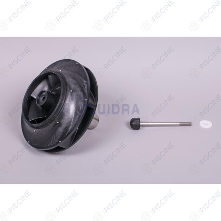 Turbine pompe Kivu 15 CV 4405010296