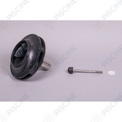 Turbine pompe Kivu 7.5 CV 4405010294