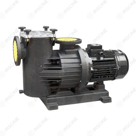 Pompe Magnus-4 550 5HP TRI SACI