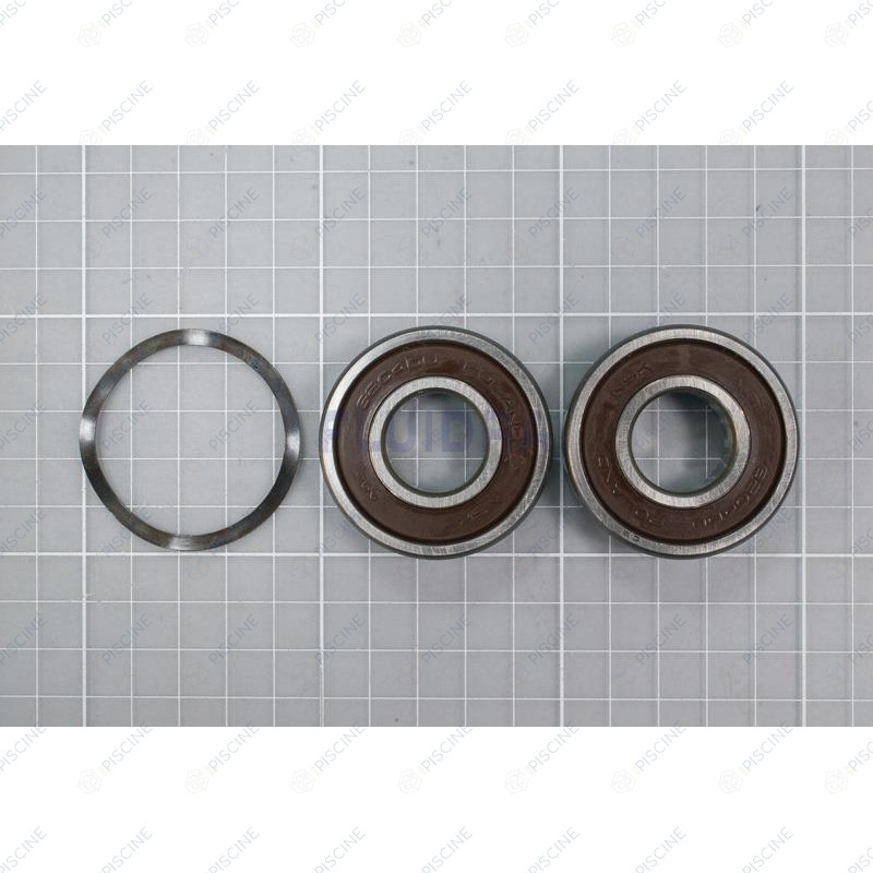 Roulement moteur 1,5 CV - 3 CV pompe Astral Leaderflow CE05010136