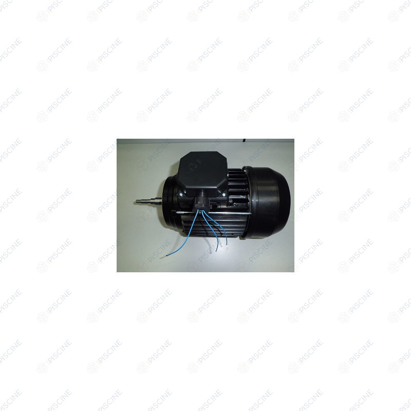 Moteur 1.50 CV Tri pour pompe Astral Victoria Plus, Sprint