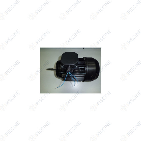 Moteur 1.50 CV Tri pour pompe Astral Victoria Plus, Sprint