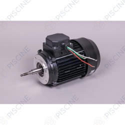 Moteur 3 CV Tri pompe Astral Leaderflow 20607R0475