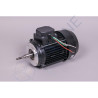 Moteur 3 CV Tri pompe Astral Leaderflow 20607R0475