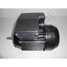 Moteur 1.50 CV Mono pour pompe Astral Victoria Plus, Sprint