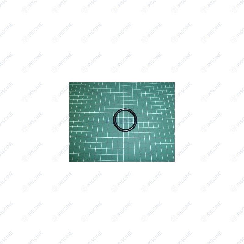 Joint de diffuseur pompe Astral Asiatic 4405010094