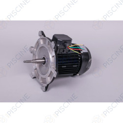 Moteur pompe Victoria Plus Silent 1 CV tri - 65563R0475