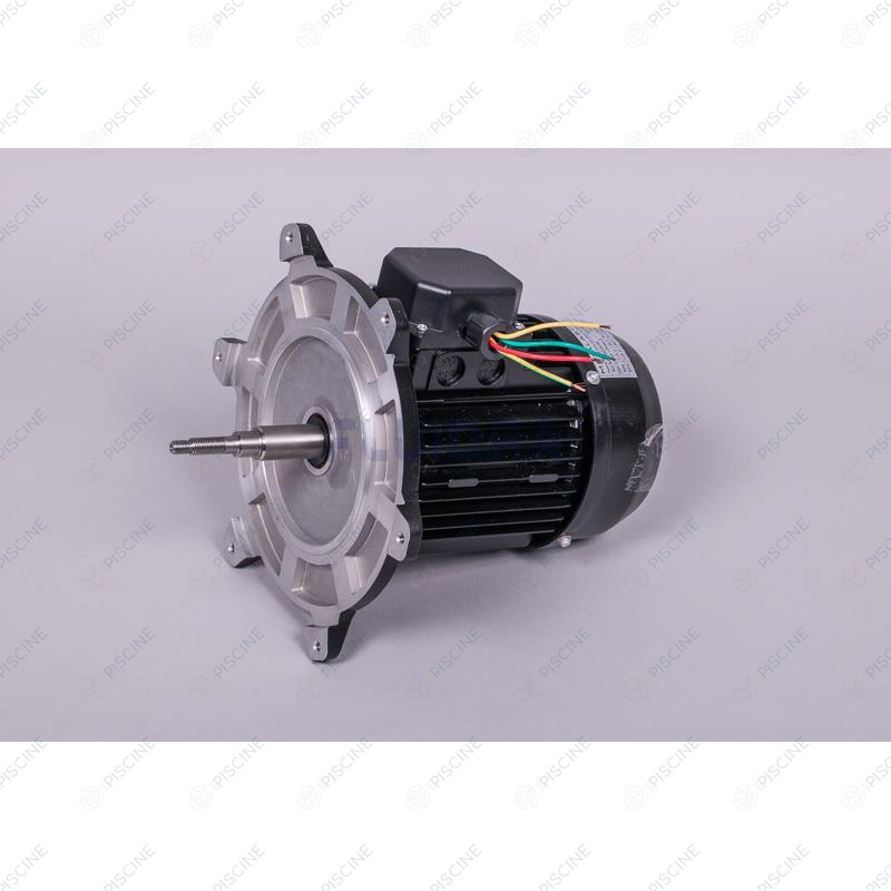 Moteur pompe Victoria Plus Silent 1 CV tri - 65563R0475