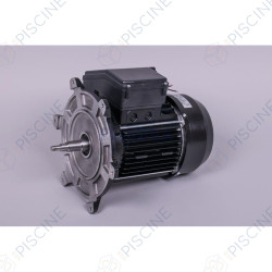 Moteur 2 CV Mono pompe Nautilus 65566R0475