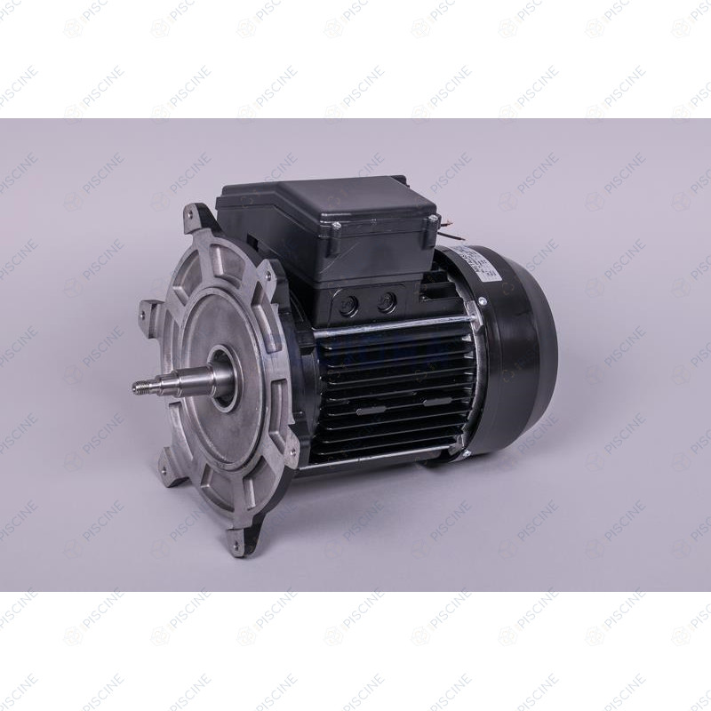 Moteur 2 CV Mono pompe Nautilus 65566R0475