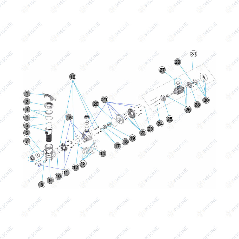 Pompe SHARK 3,5-4,5-5,5 CV