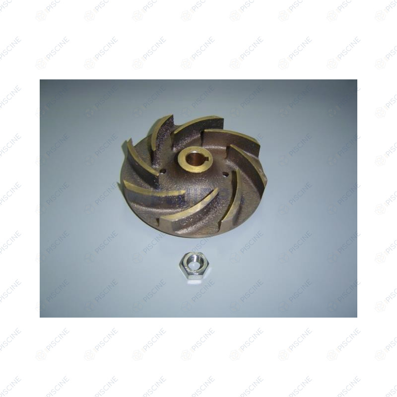 Turbine 3 CV bronze pompe Baikal