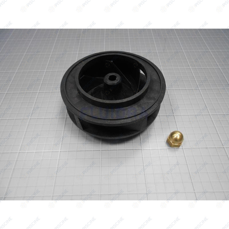 Turbine 5,5 CV pompe Astral Big Denver
