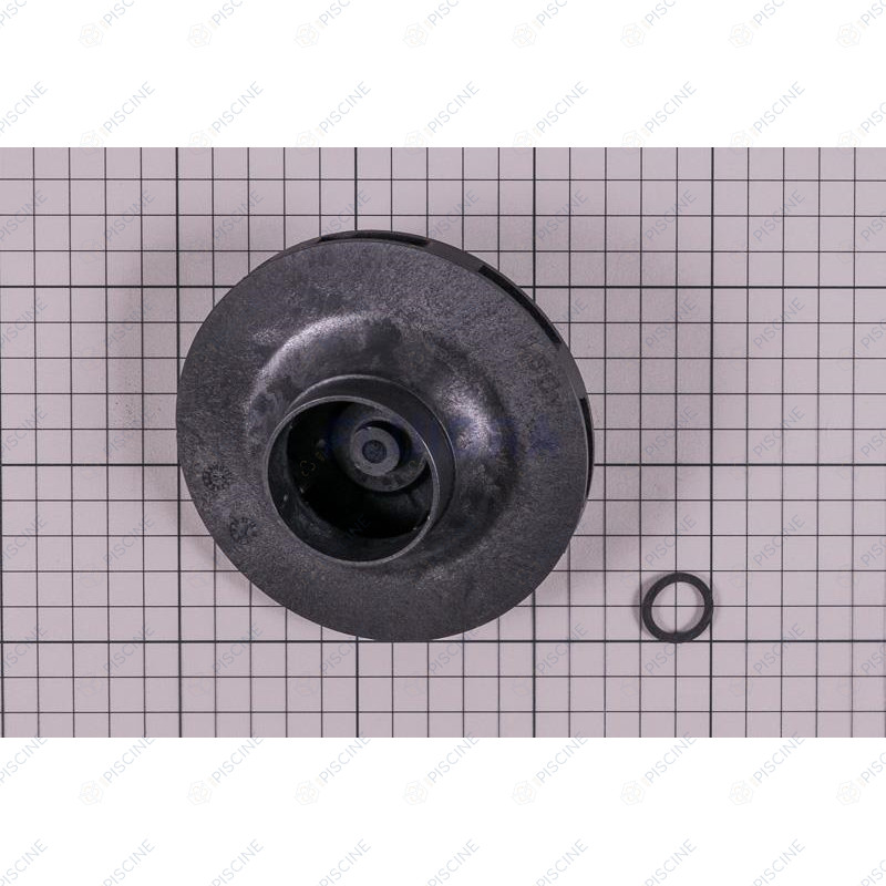 Turbine pompe LFM 1 CV Mono