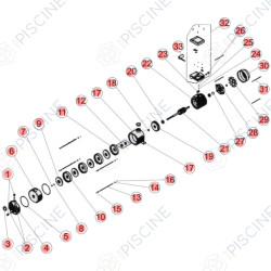 Pompe Multicellulaire