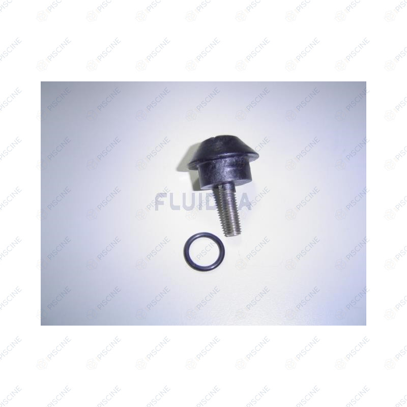 Bouchon Bout D'Axe Rotor pompe NCC 65549