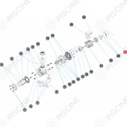 Pompe Astral NCC verticale