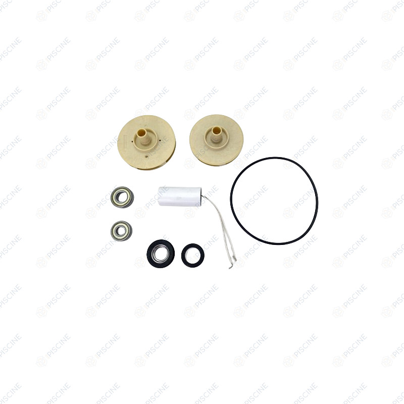 Kit pieces detachees pompe 100517 100518 EDG