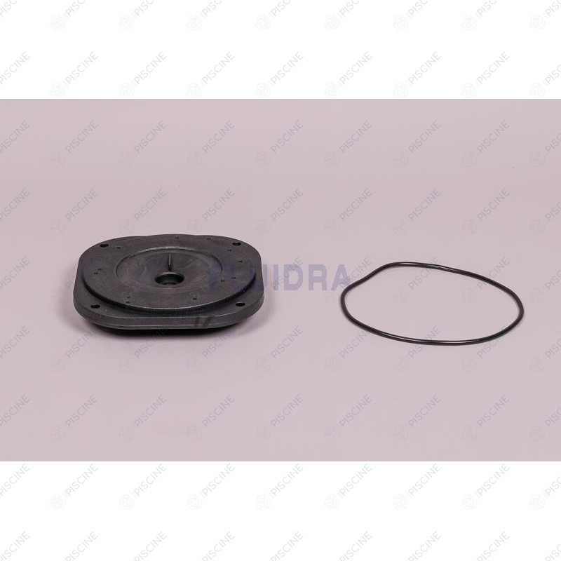 Plateau d'étanchéité 0,33 à 0,50 CV + joint pompe IML America