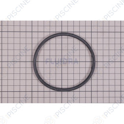 Joint torique de raccord d'aspiration Ø90mm pompe IML Big Discovery