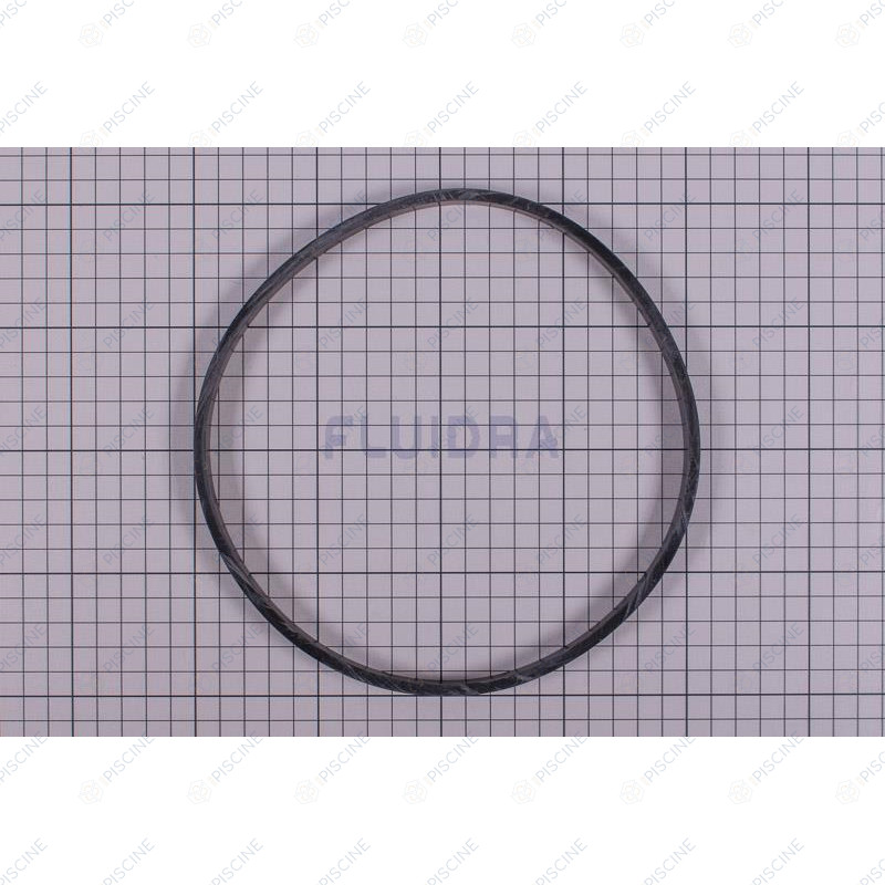 Joint de corps Plat 193x5x11,5 pompe SNTE/CERTIKIN SWIMFLO  Pompe SWIMFLO HGS ASTRALPOOL