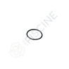 48382R0006 - JOINT TORIQUE DE RACCORD PPE BERING 0.25 À 0.33 CV
