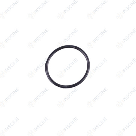 Joint torique de diffuseur Alaska Basic 4405010699