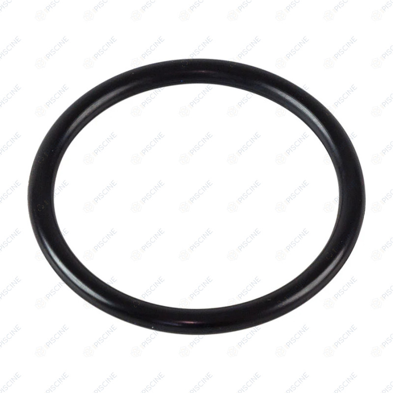 Joint Raccord Union pompe (America, New Mini Pump) - diam. 53 (IML) Pompe NEW MINI PUMP IML