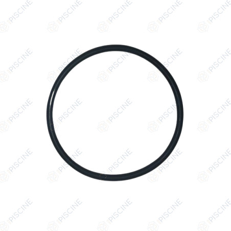 Joint torique pour raccords tuyauterie, 98 x 5 mm Pompe BADU TOP/BETTAR
