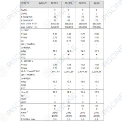 Pompe Badu 42/18 G 1.00 KW IP X5 (Speck)