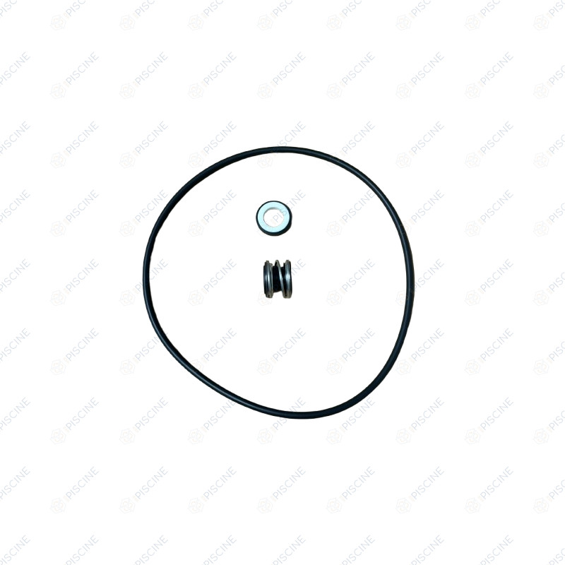 Garniture mécanique de pompe Ø15mm + joint de plateau EUROSWIM DAB
