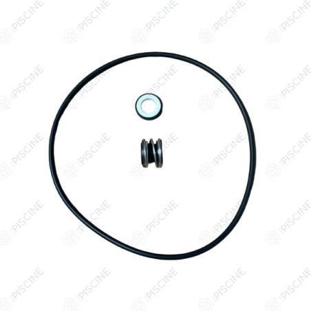 Garniture mécanique de pompe Ø15mm + joint de plateau EUROSWIM DAB
