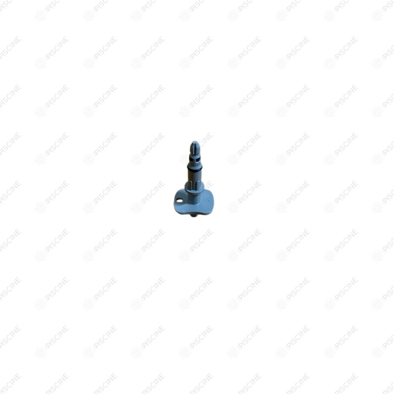 N'existe plus - Injecteur Amichloryte et AmipH ( Astralpool ) - Référence INJECTEUR-AMI