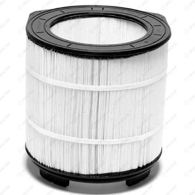 Cartouche S8M150 Système 3 (STA-RITE) reference 25022-0203S